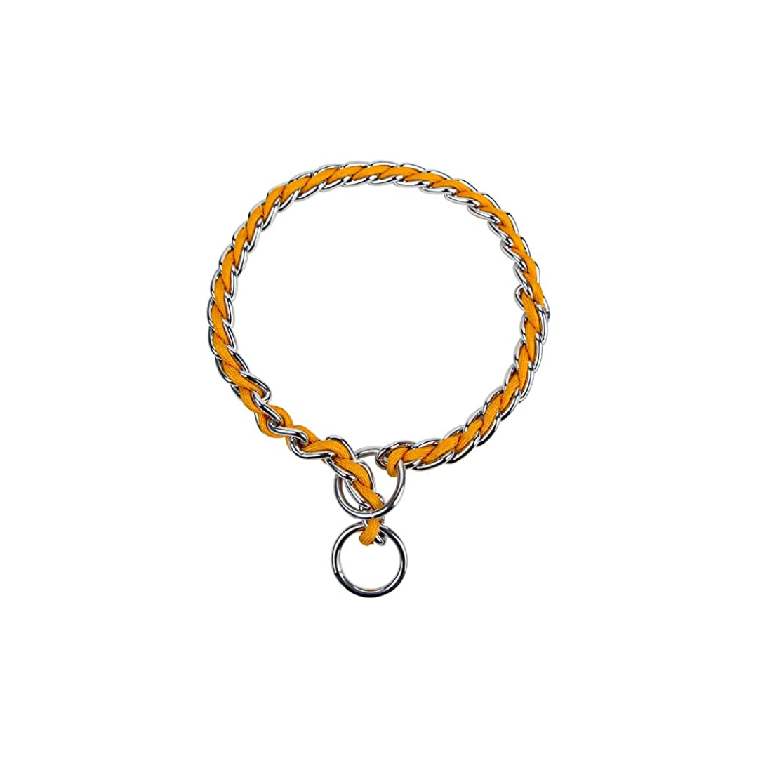 طوق بلاتينيوم بيتس للحيوانات الأليفة تدريب بالسلسلة لون برتقالي