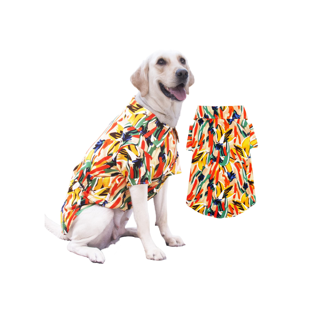 صيد هاواي بانبوري Xs