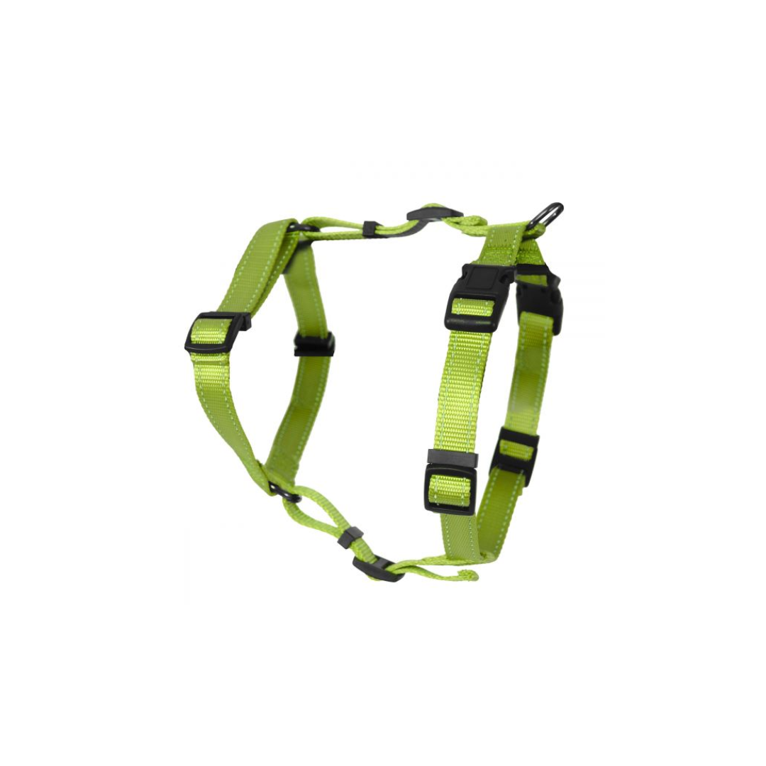 حزام للكلاب من دوغمان H إيريس لون اخضر