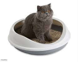 Dogman Litter box Figaro M