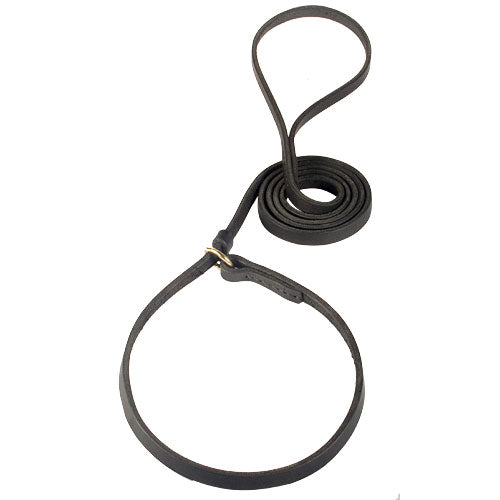 مقود دوغ مان مع طوق تحكم بالشد للتدريب حجم لارج مقاس 25 سم