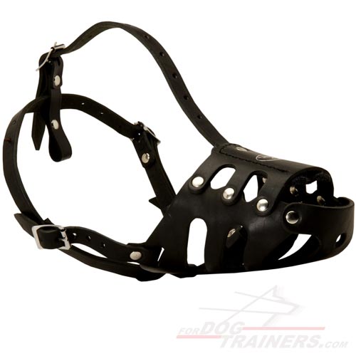 Leather muzzle (Kaukasian & similar) M11-3