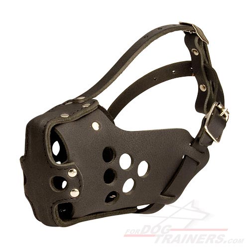 Leather muzzle Dog Training-(Malinois & GSD F) M-31