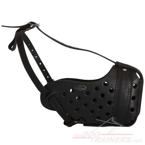 Dog Training- Leather muzzle (GSD and similar) M55-2