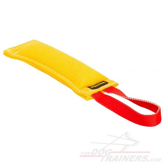 Dog Training-Young dog tug TE35