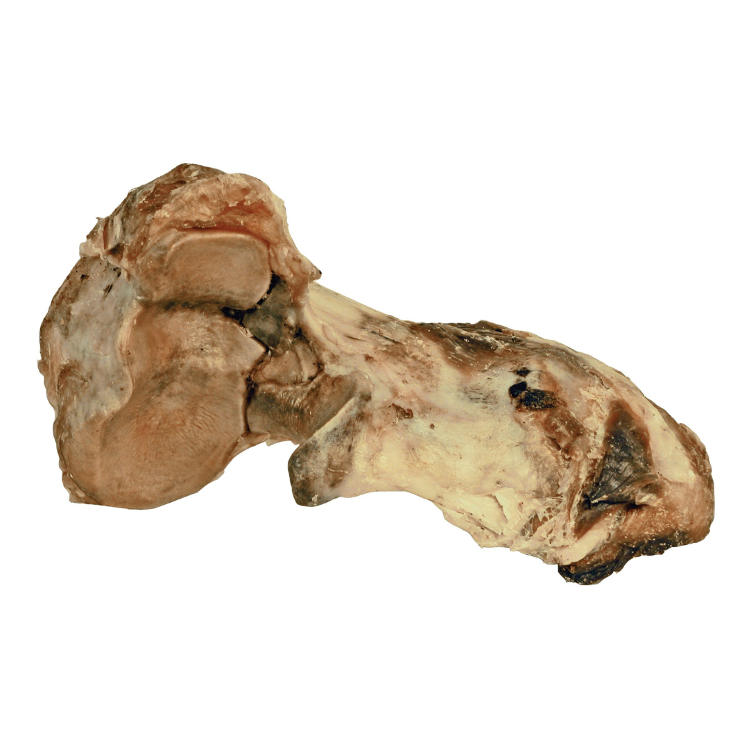 DogMan-Dried Knot Bone 450gm