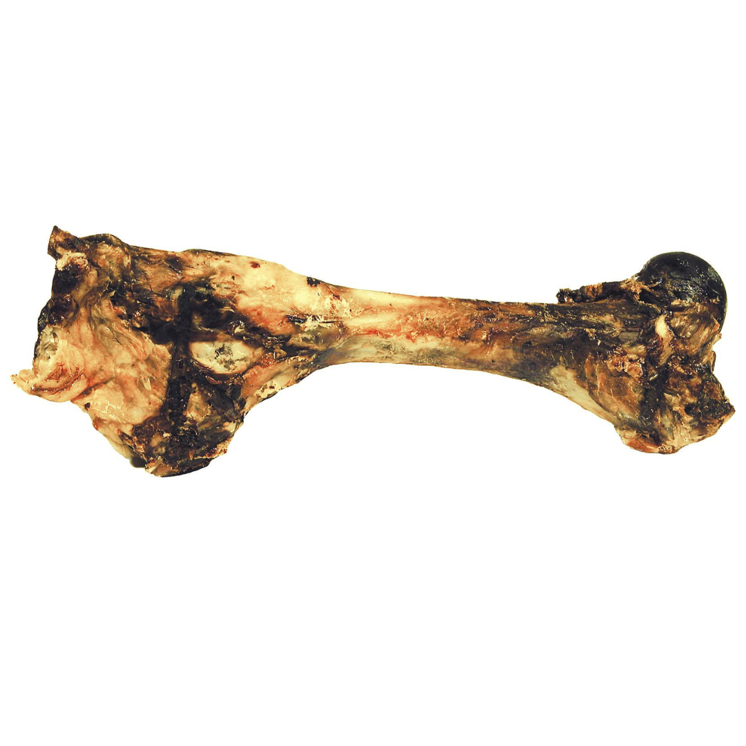 DogMan-Dried Leg XL 40-60 cm