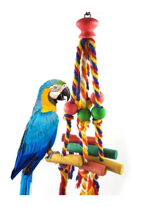 VanPet Bird Toys-03350