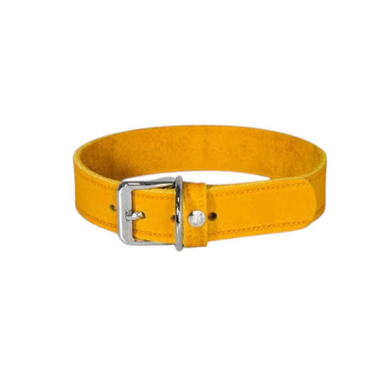 Das Lederband Dog Collar Weinheim Yellow