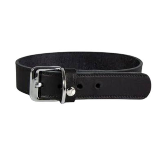 Das Lederband Dog Collar Weinheim Black