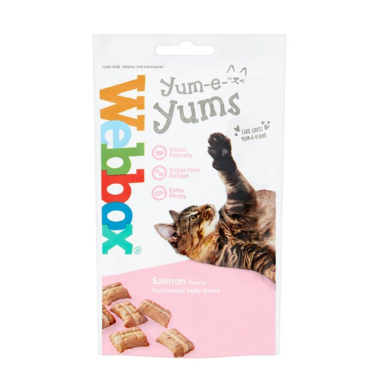 Webbox Cat Treat Yum-e-Yums Salmon 40g