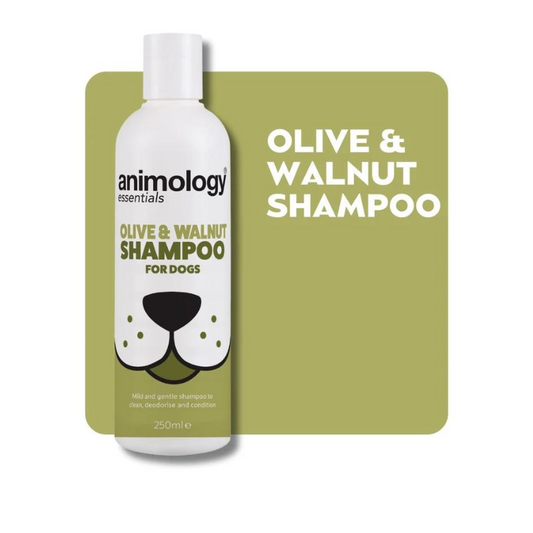 شامبو أنيمولوجي إسينشالز بالزيتون والجوز- 250 مل 