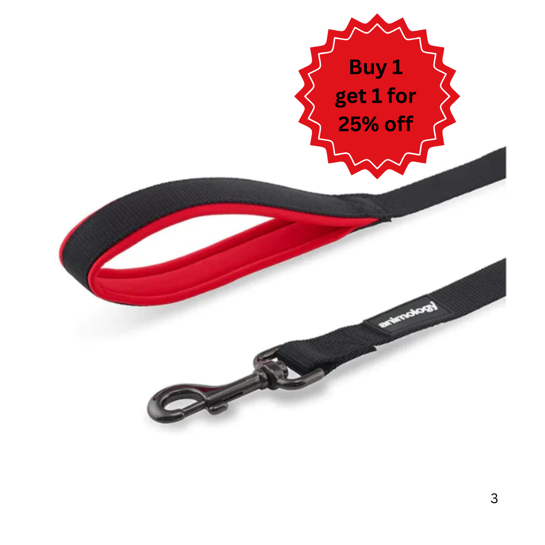Animology Padded Handle Lead - Red