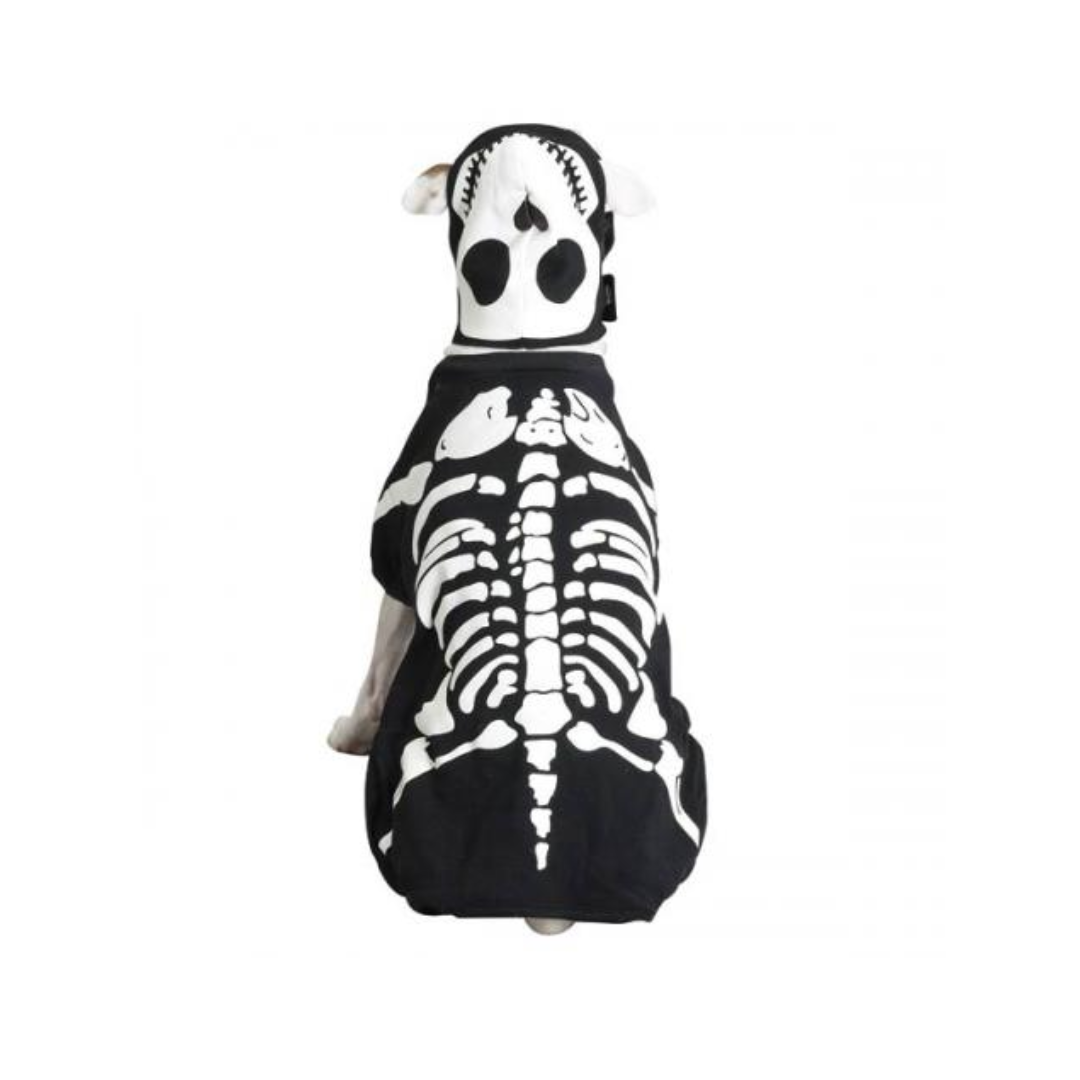 Casual Canine Glow Bones Costume Haloween - XS