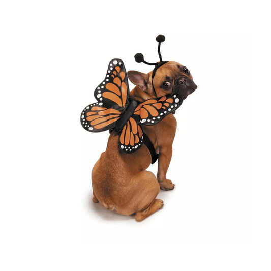 Zack & Zoey- Butterfly Glow Harness Costume Butterfly Glow Harness Costume for Dogs, Medium