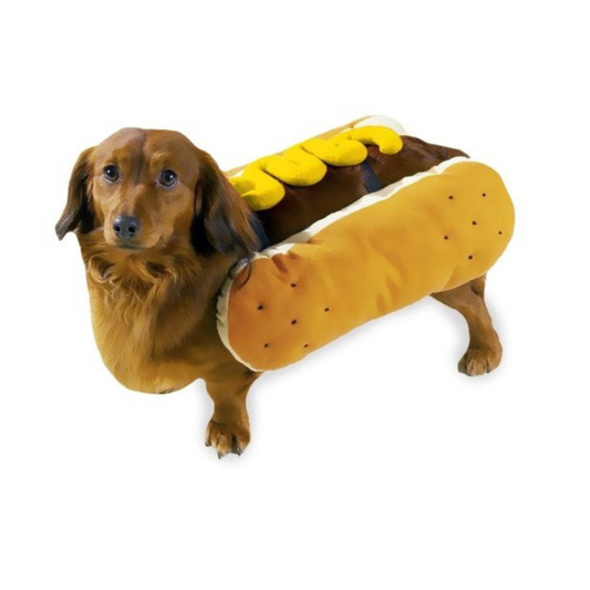 Casual Canine Hot Diggity Dog Mustard Costume, Different sizes -Yellow&Brown