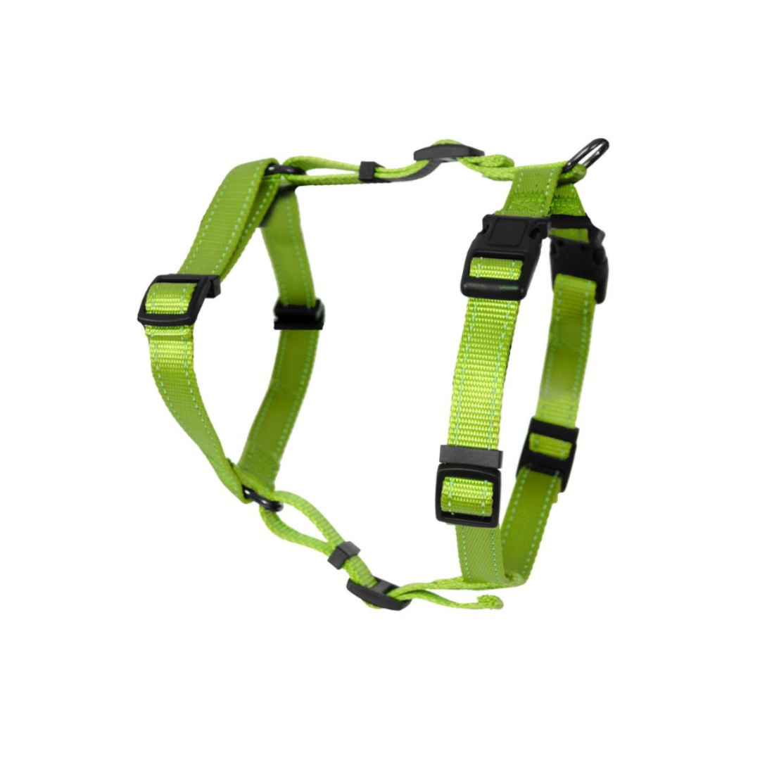 Dogman H-harness Iris green 25mm