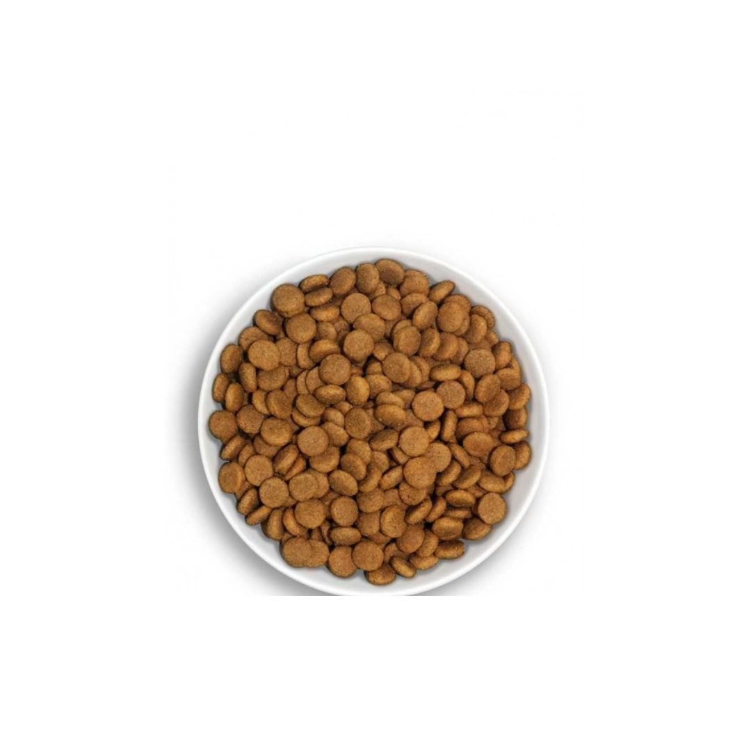 Oasy Cat Dry Food  Adult Hairball Chicken 1.5kg