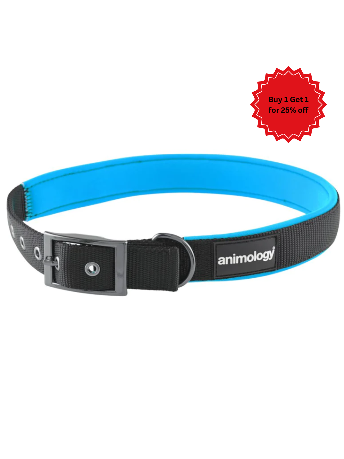 Animology Padded Buckled Collar - Blue