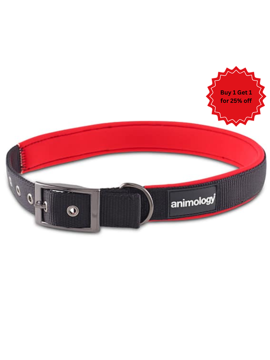 Animology Padded Buckled Collar – Red