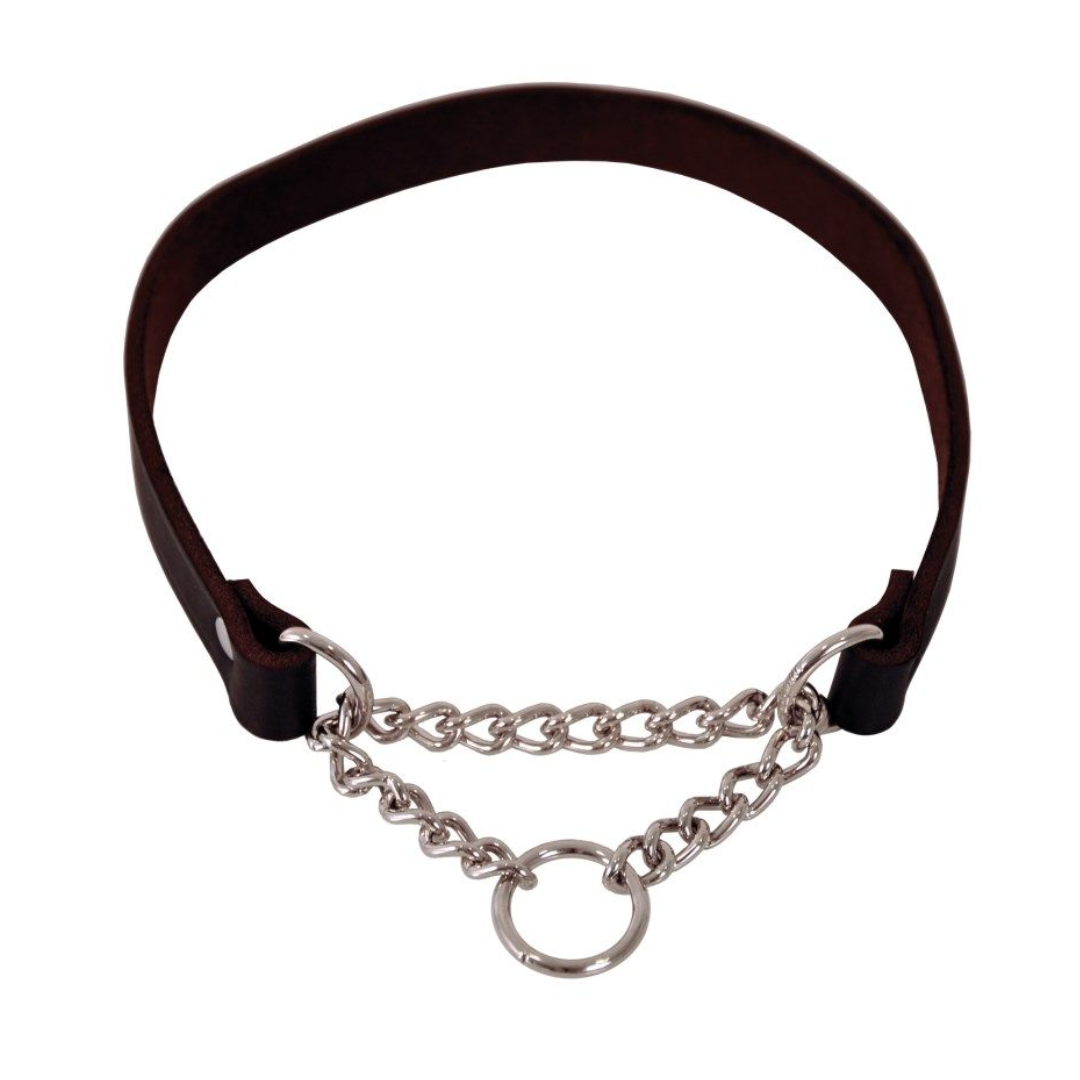 Dogman-Leather collar Lina chain