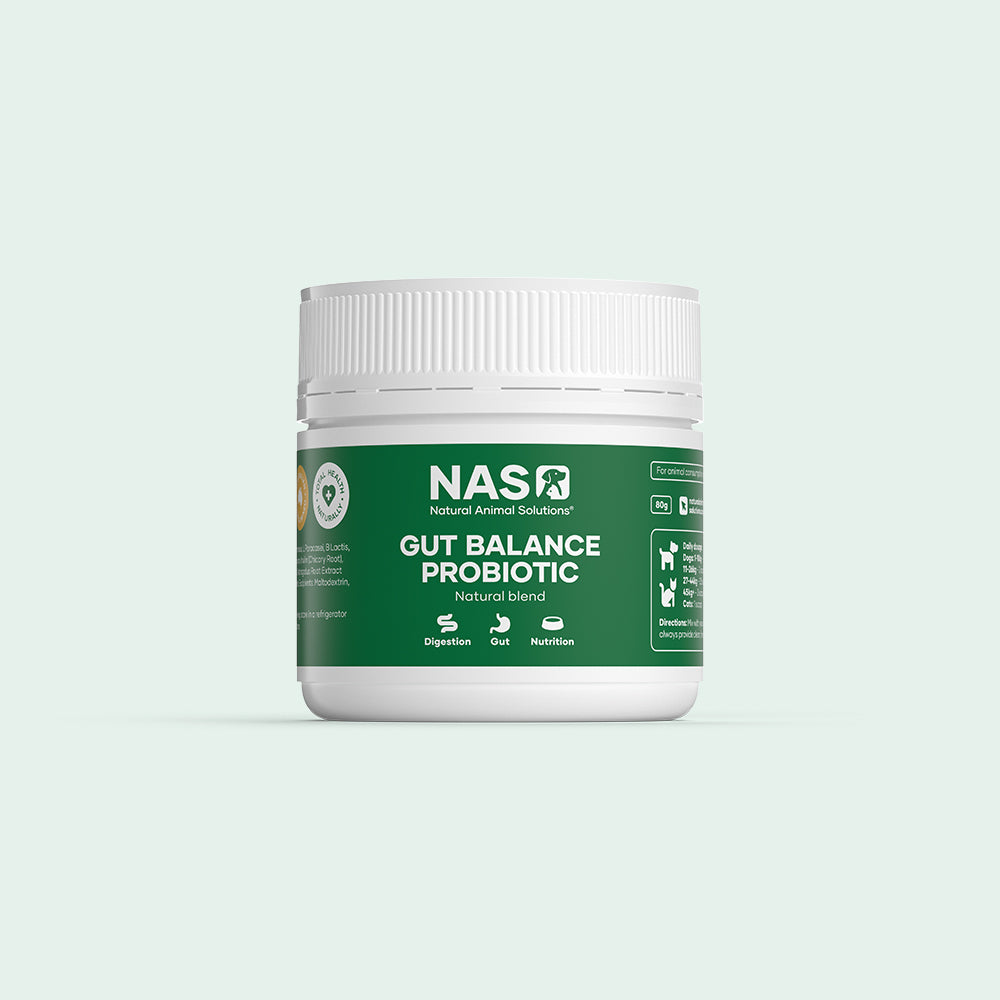 NAS Gut Balance Probiotic Natural 80g