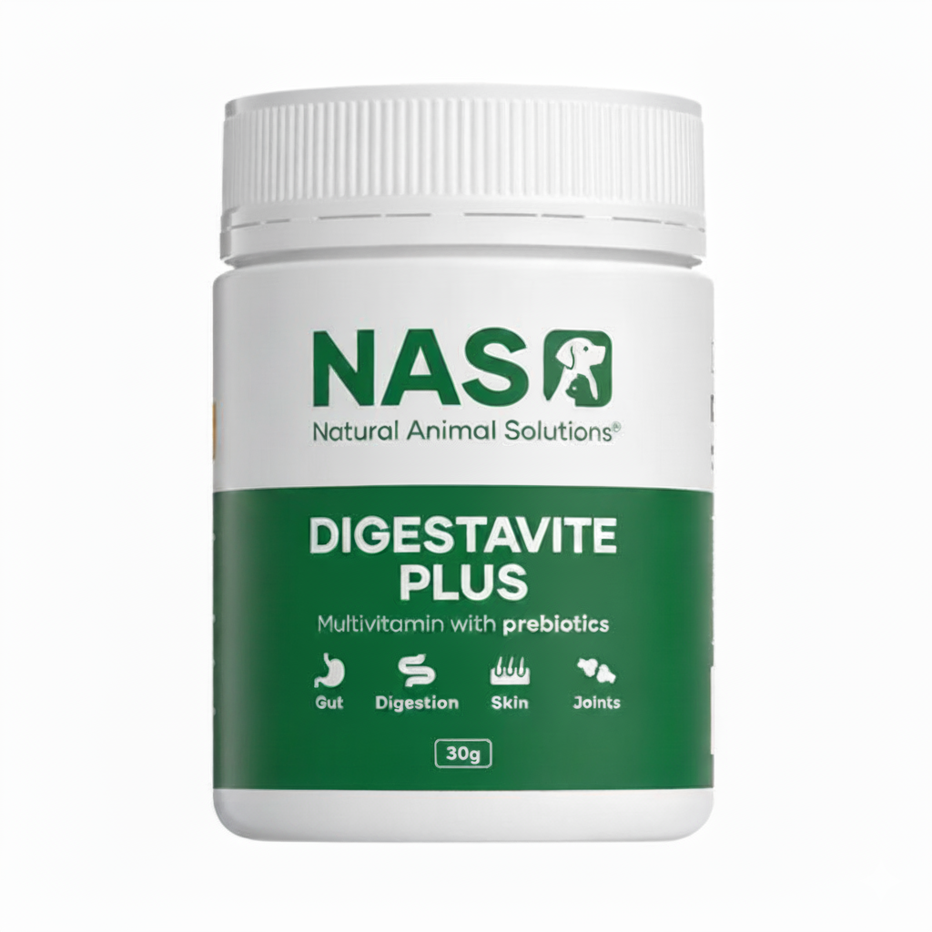 NAS Digestavite Plus - Powder 30 gm