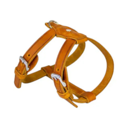 Das Lederband Harness Weinheim Maroon Neck 28-32 cm Belly 36-40 cm