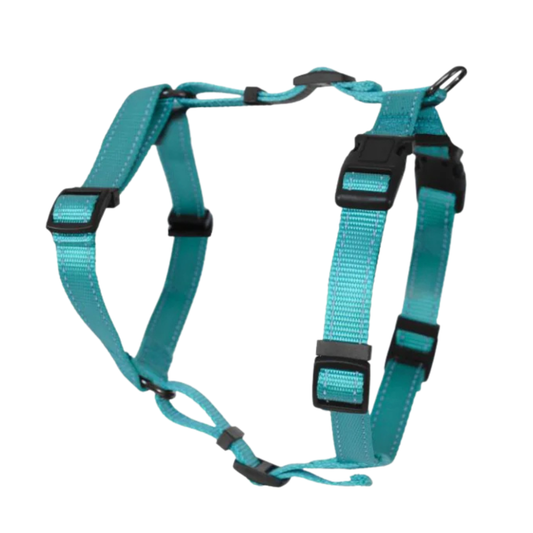 Dogman H-harness Iris Trequ