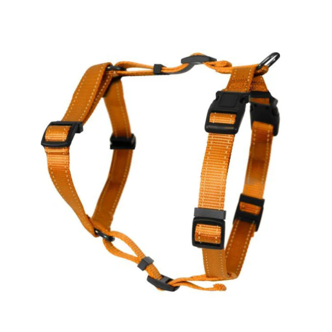 Dogman H-harness Iris Org