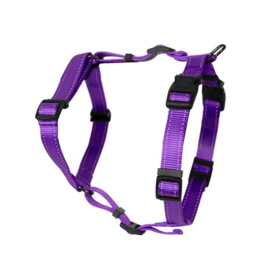 Dogman H-harness Iris Prpl