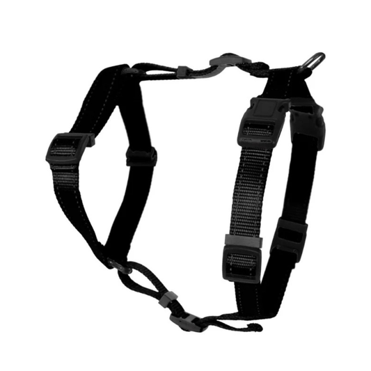 Dogman H-harness Iris black 20mm