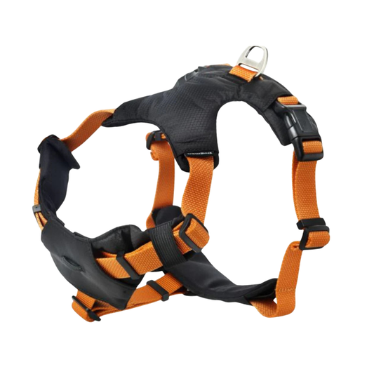 Dogman Sport Harness Emmi XL Orange