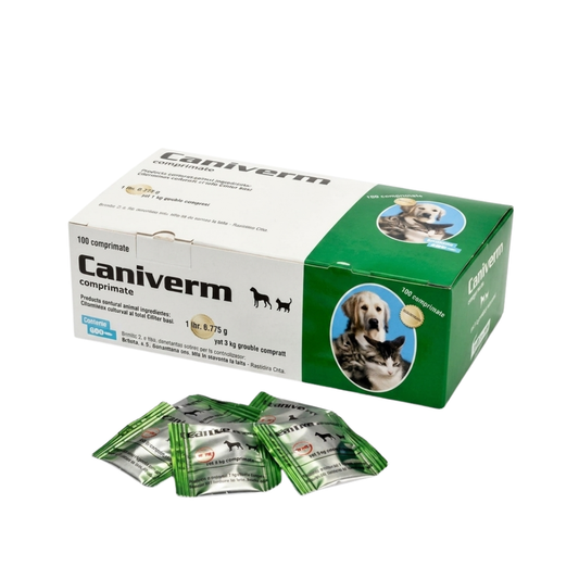 1 tablet Caniverm Forte (1 tablets for each 10kg weight)