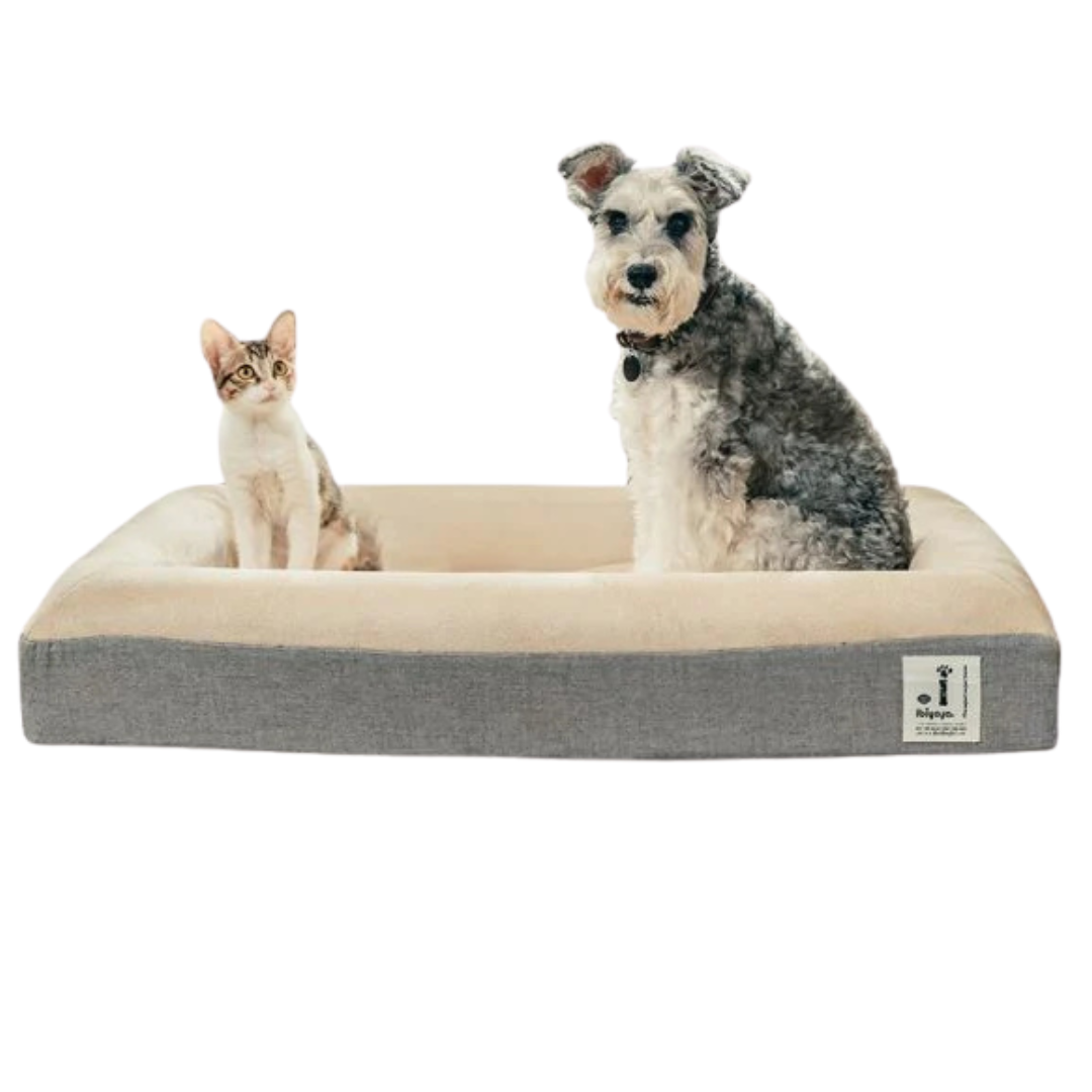 Ibiyaya-Deep Sleep Ortho Dog Bed XL - Tan