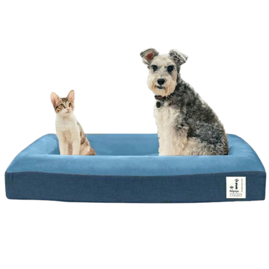 Ibiyaya-Deep Sleep Ortho Dog Bed M - Royal Blue