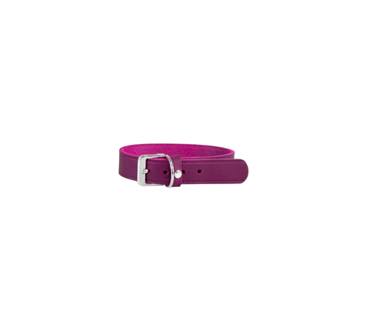 Das Lederband Dog Collar Weinheim Violet Width 20 mm / Length 42 cm