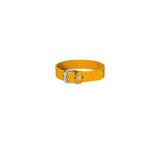 Das Lederband Dog Collar Weinheim Yellow Width 20 mm / Length 42 cm