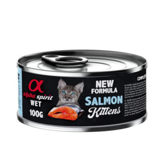 طعام ألفا سبيريت الرطب بنكهة السلمون للقطط الصغيرة حجم العبوة 100 جرام
