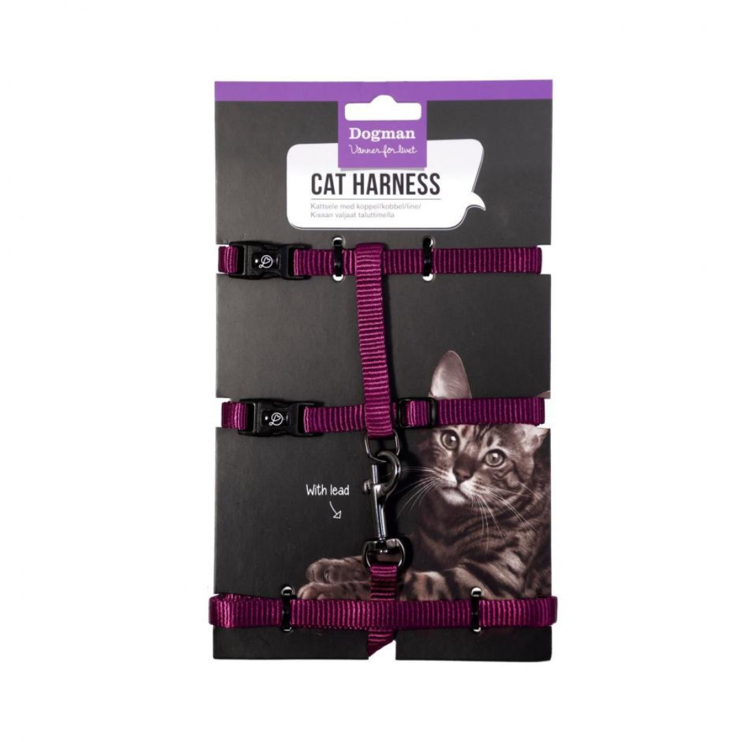 DogMan-Cat harness Findus Purple (120cm×10mm)