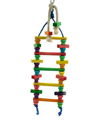 VanPet Bird Toys-00338