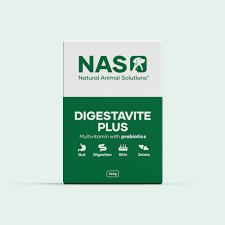 NAS Digestavite Plus - Powder 30 gm
