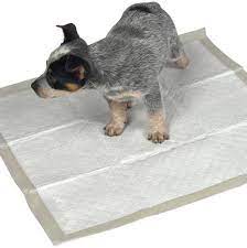 Simple Solution Dog Training Pads - 10 Pads