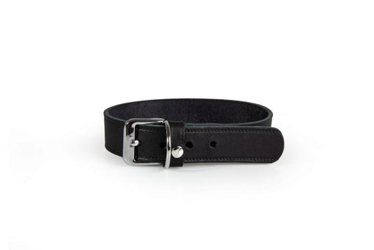 Das Lederband Dog Collar Weinheim Black Width 16 mm / Length 32 cm