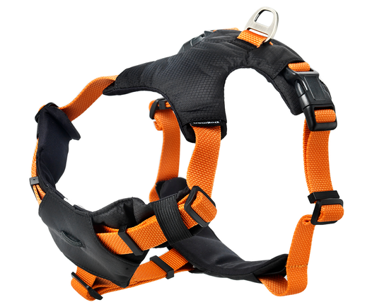 Dogman Sport Harness Emmi - S - Orange