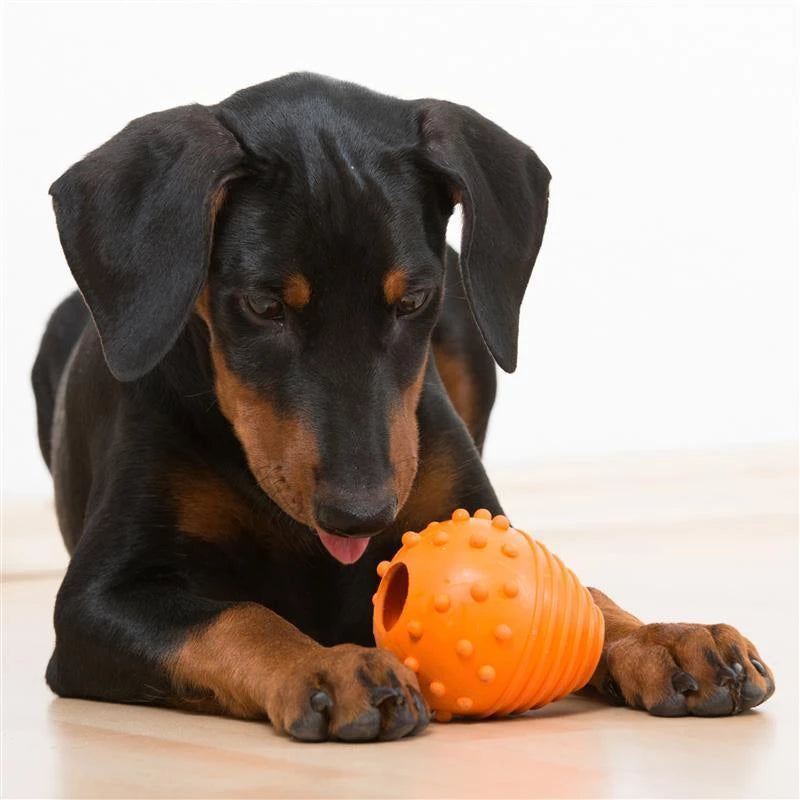 Major Dog Toy Snack Egg - small 140gm - Orange