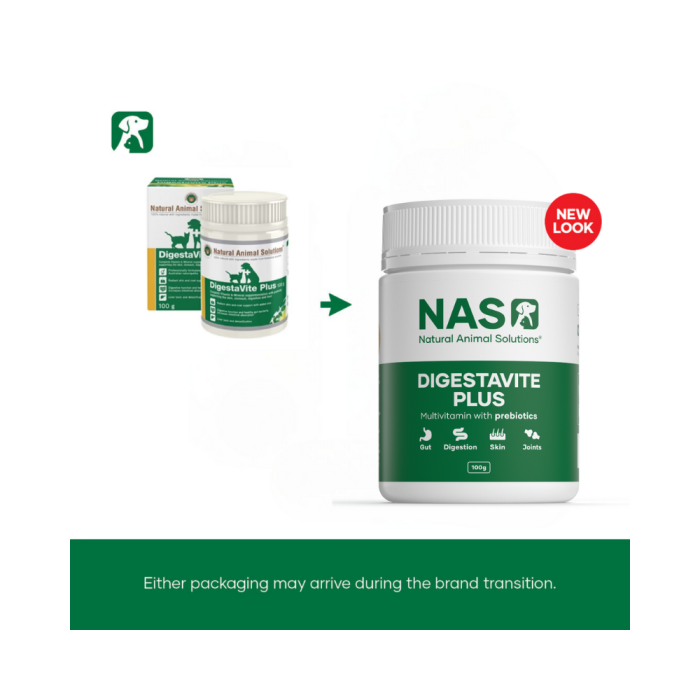 NAS Digestavite Plus - Powder 30 gm