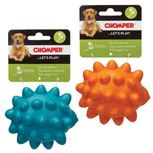 Chomper Tail Waggers Rubber Hedgehogs - Multicolors