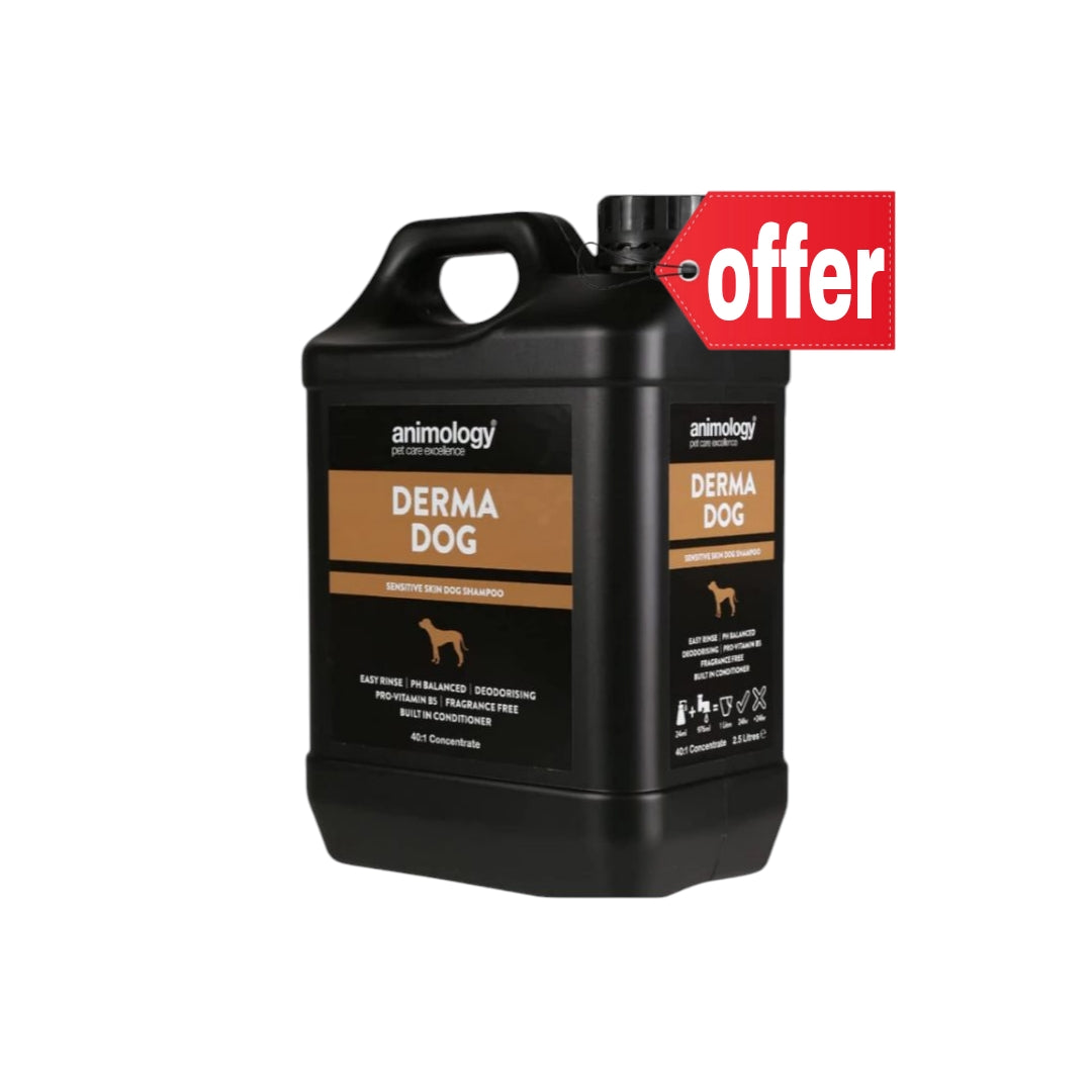 Derm Dog Shapoo Animology Derma Dog Shampoo – Pet Planet Kuwait