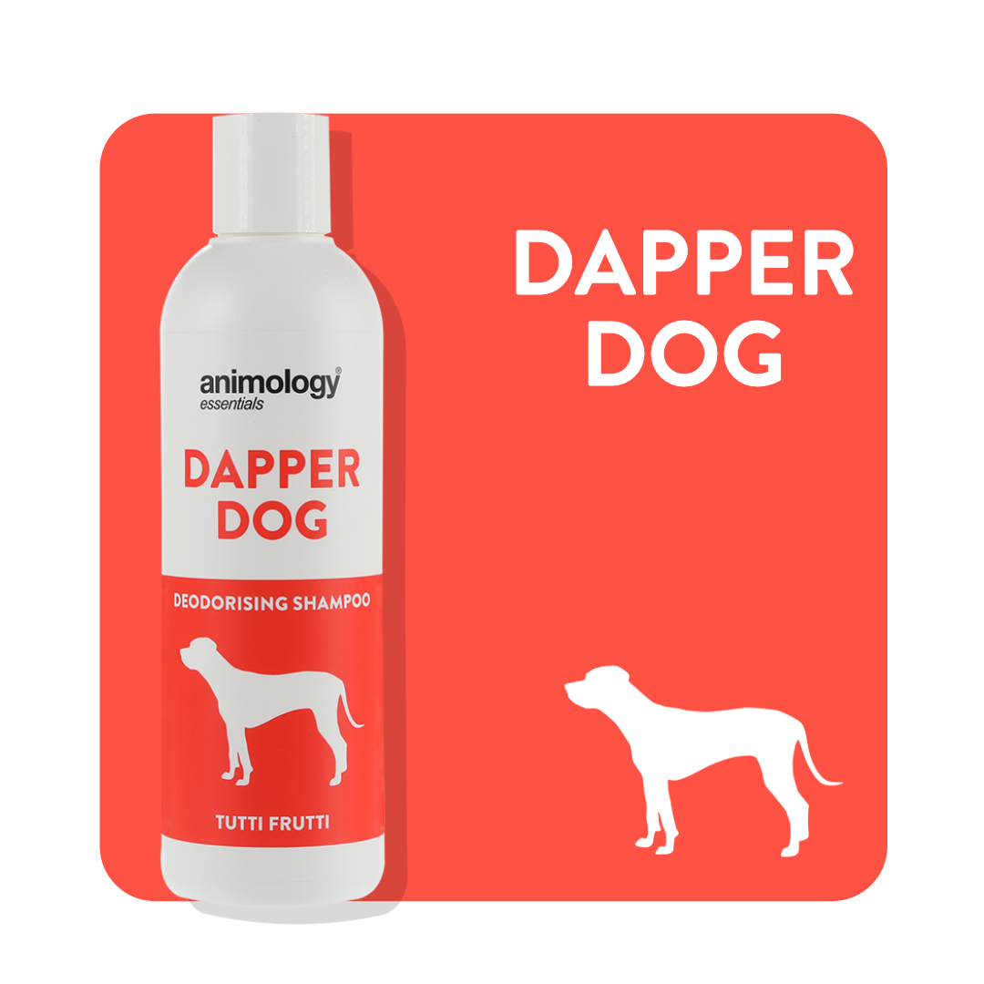 Animology Essentials Dapper Dog Tutti Frutti Spritz